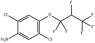 2, 5-Dichloro-4-(1, 1, 2, 3, 3, 3-hexafluoropropoxy) aniline